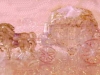 prettyprincesstea